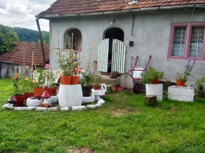 De vânzare casă la munte în jud Hunedoara comuna Baia de Criș 