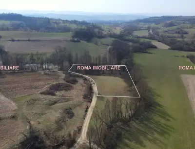  Teren superb de vânzare în Dumbrăvița – 3.750 mp, perfect pentru casă de vacanță 